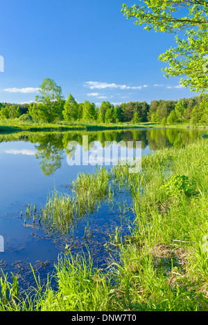 Sonnige Landschaft mit der Narew geflochten Fluss und grünen Bäumen. Masowien, Polen. Stockfoto