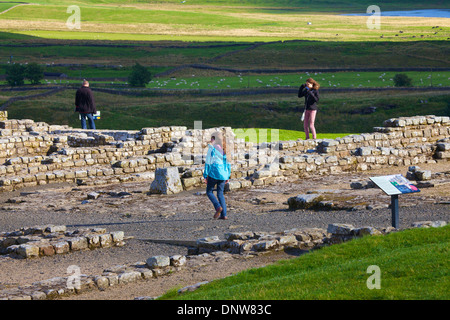 Touristen in Housteads römischen Festung am Hadrianswall National Trail, Northumberland England Vereinigtes Königreich Großbritannien Stockfoto