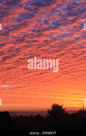 Erstaunlichen roten Himmel bei Sonnenaufgang an einem Wintermorgen in Eastleigh, Hampshire, UK Stockfoto