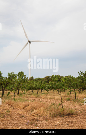 Windkraftanlage in einer ländlichen Landschaft. Provinz Lleida. Katalonien. Spanien. Stockfoto