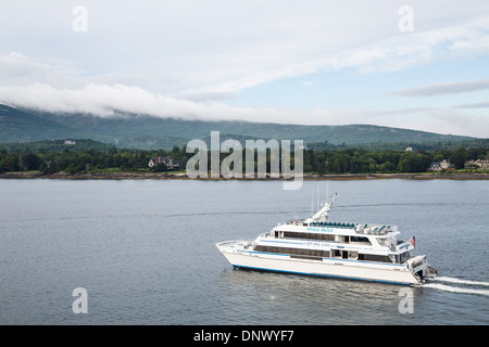 Eine große Walbeobachtung Boot Kreuzfahrt über eine Bucht in der Nähe von Bar Harbor, Maine Stockfoto