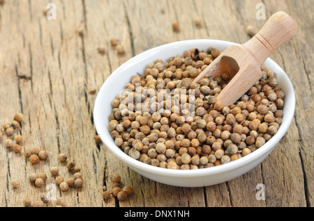 Details der getrocknete Koriandersamen Stockfoto