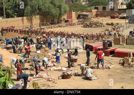 Männer aus der Gemeinde in Niamey, Niger arbeiten zusammen, um Schafe zu opfern, als Teil der Feier des Tabaski (Eid-al-Adha) Stockfoto