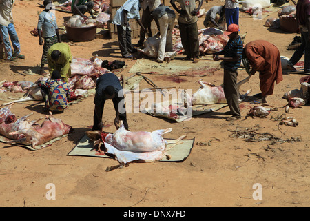 Männer aus der Gemeinde in Niamey, Niger arbeiten zusammen, um Schafe zu opfern, als Teil der Feier des Tabaski (Eid-al-Adha) Stockfoto