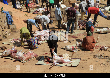 Männer aus der Gemeinde in Niamey, Niger arbeiten zusammen, um Schafe zu opfern, als Teil der Feier des Tabaski (Eid-al-Adha) Stockfoto