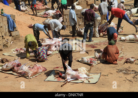 Männer aus der Gemeinde in Niamey, Niger arbeiten zusammen, um Schafe zu opfern, als Teil der Feier des Tabaski (Eid-al-Adha) Stockfoto