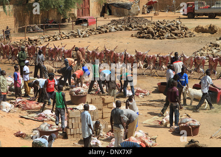 Männer aus der Gemeinde in Niamey, Niger arbeiten zusammen, um Schafe zu opfern, als Teil der Feier des Tabaski (Eid-al-Adha) Stockfoto