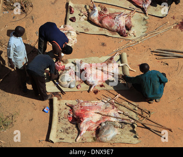 Männer aus der Gemeinde in Niamey, Niger arbeiten zusammen, um Schafe zu opfern, als Teil der Feier des Tabaski (Eid-al-Adha) Stockfoto