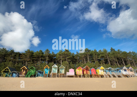 Helles Holz Strand Hütten von einem Wald in Brunnen als nächstes das Meer, Norfolk Stockfoto