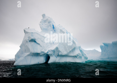 Geformter Eisberg Curtis Bay Antarktische Halbinsel | CURTISS BAY, Antarktis — Ein geformter Eisberg mit einer wellenförmig geschliffenen Höhle und einem gezackten Turm treibt in der Curtiss Bay vor der Davis-Küste der Antarktischen Halbinsel, ein einsamer Vogel sitzt auf seinem Gipfel. Tiefe blaue Streifen durch das Eis markieren neu gefrorenes Schmelzwasser, das alte Spalten füllte und zu dichtem, blasenfreiem Eis erstarrte. Stockfoto