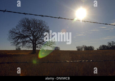 4. Januar 2006; Hannibal, TX, USA; Die Sonne scheint auf einer trockenen Wiese in der Nähe von Hannibal, TX, im Erath County am 4. Januar 2006. Die Texas Land ist hart geworden und Pflanzen ums Überleben kämpfen. Obligatorische Credit: Foto von Edward A. Ornelas/San Antonio Ex / ZUMA Press. (©) Copyright 2006 von San Antonio Express-News Stockfoto