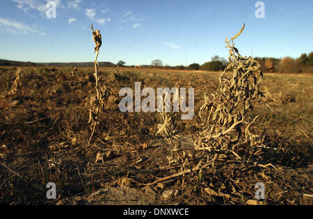 4. Januar 2006; Hannibal, TX, USA; Ein trockenes Feld in der Nähe von Hannibal, TX, im Erath County am 4. Januar 2006. Die Texas Land ist hart geworden und Pflanzen ums Überleben kämpfen. Obligatorische Credit: Foto von Edward A. Ornelas/San Antonio Ex / ZUMA Press. (©) Copyright 2006 von San Antonio Express-News Stockfoto