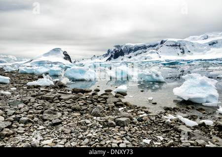 Antarktis - Der steinige Küstenlinie von Cuverville Insel an der Westküste der Antarktischen Halbinsel. Stockfoto