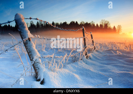 Warme kalte Winter Sonnenuntergang letzten Strahlen der Abendsonne Färbung des Nebels golden betrachtet in der Nähe von Harjumaa, Estland Stockfoto