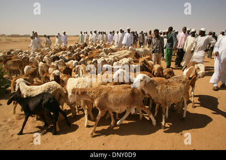 10. Januar 2006; Nyala, Darfur, Sudan; Otash Flüchtlingslager während des Festivals von Eid Ul-Adha, der islamische Feiertag Tag der Sühne, die sudanesische Regierung gespendet Rinder in die Flüchtlingslager in Kalma und Schafe für die kleineren Flüchtlingslager bei Otash geschlachtet werden. Obligatorische Credit: Foto von Wally Nell/ZUMA Press. (©) Copyright 2006 von Wally Nell Stockfoto