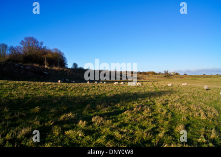 Durrington Wände neolithischen Henge Gehäuse, Wiltshire, England Stockfoto