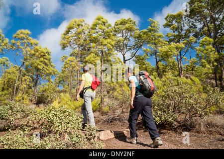 Weibliche Wanderer im Parque natural de Tamadaba (ca. 1400m) auf Gran Canaria, Kanarische Inseln. Spanien Stockfoto