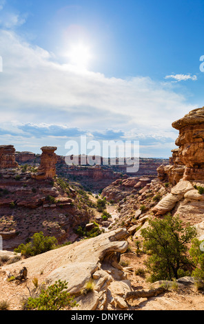 Landschaft in der Nähe von Big Spring Canyon Overlook in The Needles Sektion des Canyonlands National Park, Utah, USA Stockfoto