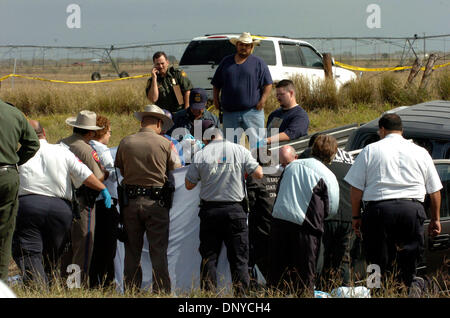 26. Januar 2006; Falfurrias, TX, USA; DPS-Personal untersuchen die Szene einen tödlichen Unfall mit einem Traktoranhänger, die Autos trug die kollidierte mit einem Pickup-Truck und und Ford SUV nördlich von Falfiurrias, Texas und Premont Donnerstag, 26. Januar 2006. Obligatorische Credit: Foto von Delcia Lopez/San Antonio Express/ZUMA Press. (©) Copyright 2006 von San Antonio Express-News Stockfoto