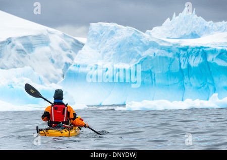 Antarktis - ein PADDLER sich im kalten Wasser Zahnrad ausgerichtet - Paddel in Richtung Große Blaue Eisberge in der Nähe von Melchior Insel an der Westküste der Antarktischen Halbinsel. Stockfoto