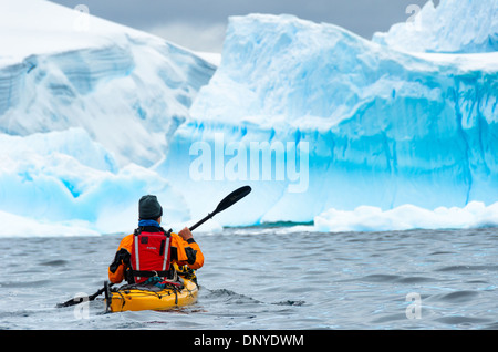 Antarktis - ein PADDLER sich im kalten Wasser Zahnrad ausgerichtet - Paddel in Richtung Große Blaue Eisberge in der Nähe von Melchior Insel an der Westküste der Antarktischen Halbinsel. Stockfoto