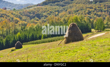 Sicht auf eine Landschaft von Mount Bobija, Hügel, Heuhaufen, Wiesen und bunte Bäume Stockfoto