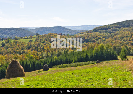 Sicht auf eine Landschaft von Mount Bobija, Hügel, Heuhaufen, Wiesen und bunte Bäume Stockfoto