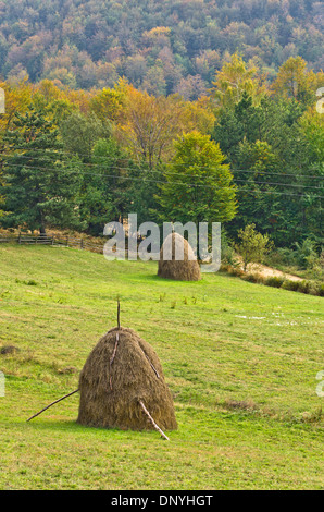 Sicht auf eine Landschaft von Mount Bobija, Hügel, Heuhaufen, Wiesen und bunte Bäume Stockfoto