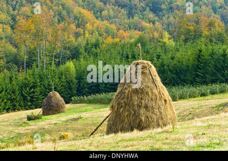 Sicht auf eine Landschaft von Mount Bobija, Hügel, Heuhaufen, Wiesen und bunte Bäume Stockfoto