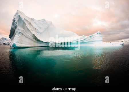 Antarktis - ein Eisberg floaats in Hughes Bay an der Westküste der Antarktischen Halbinsel. Stockfoto