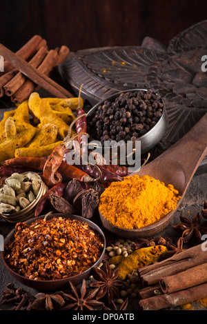 Indische Gewürze / Chili-Flocken, Kurkuma, Chili, Kardamom, Sternanis, schwarzer Pfeffer Stockfoto