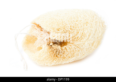 Natürliche Luffa Schwamm isoliert auf weiss. Stockfoto