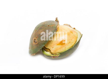 Archidendron Jiringa Nielsen, ein gesundes Obst von Süd-Thailand. Stockfoto