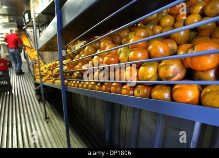 24. April 2006; Fort Pierce, FL, USA; Bei Nelson Family Farms, frisch gepressten Orangensaft hergestellt und abgefüllt in "The Juice Hütte"-eigentlich ein gekühlter Frachtcontainer in einer Miniatur-Saft-Anlage umgebaut wurde.  Im Gegensatz zu den meisten Saft, die pasteurisiert ist, bevor Sie verkauft werden, wird der Saft frisch gepressten verkauft.  Besitzer Dan Nelson sagte, dass seine Saft Anlage Zustand-zertifi ziert Stockfoto