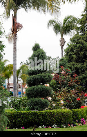 8. Mai 2006; San Diego, CA, USA; Ein Garten blüht in der Median auf der Orange Avenue in Coronado.  Mitglieder der Coronado MainStreet, Ltd., einer Gruppe, Spenden und Freiwillige ihre Energie um Gärten in die mediane auf Coronado Island zu schaffen, wie dieser. Obligatorische Credit: Foto von Nadia Borowski Scott/SDU-T/ZUMA Press. (©) Copyright 2006 by SDU-T Stockfoto