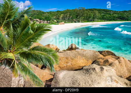 tropischer Strand mit Palmen Stockfoto