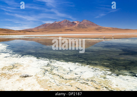 Der See Laguna Cañapa, Potosí Abteilung, Altiplano, Anden-Hochebene, Anden, Bolivien Stockfoto