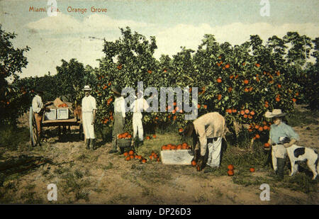 18. Mai 2006; Miami, FL, USA; Diese Postkarte zeigt Arbeiter Kistenverpackung bis Orangen in Miami, Florida Orange Grove.  Die Karte wurde am 31. Dezember 1910 Poststempel und auf ein Herr & Frau Müller, die im San Carlos Hotel in Miami wohnten... Obligatorische Credit: Foto von historischen Museum von Südflorida/Palm Beach Post/ZUMA Press. (©) Copyright 2006 von Palm Beach Post Stockfoto