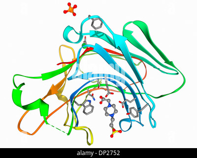 Beta-Glukanase Enzym-Molekül Stockfoto