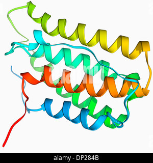 Menschlichen Interferon alpha Molekül Stockfoto