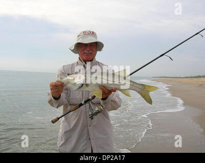 24. Mai 2006; Jensen Beach, FL, USA; MARK NICHOLS zeigt einen kleinen Snook gefangen bei einem Spaziergang am Strand in St. Lucie Inlet Preserve State Park. Die Snook schlagen gold, Viertelunze D.O.A. Terror-Eyz Lockmittel, um eine kleine Köder Schule gearbeitet. Kajakfahrer erreichen den Strand, ins Innere des vorgelagerten Insel paddeln und zu Fuß über eine Düne-Trail. Obligatorische Credit: Foto von Willie H Stockfoto