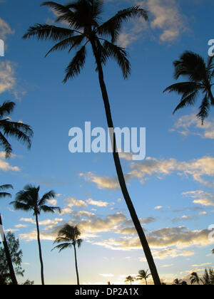 24. Mai 2006; Kauai, HI, Vereinigte Staaten; Sonnenuntergang und Palmen Bäume am Poipu Beach auf der hawaiianischen Insel Kauai. Obligatorische Credit: Foto von Marianna Day Massey/ZUMA Press. (©) Copyright 2006 von Marianna Tag Massey Stockfoto