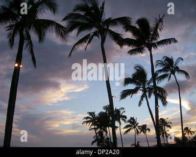 24. Mai 2006; Kauai, HI, Vereinigte Staaten; Sonnenuntergang und Palmen Bäume am Poipu Beach auf der hawaiianischen Insel Kauai. Obligatorische Credit: Foto von Marianna Day Massey/ZUMA Press. (©) Copyright 2006 von Marianna Tag Massey Stockfoto