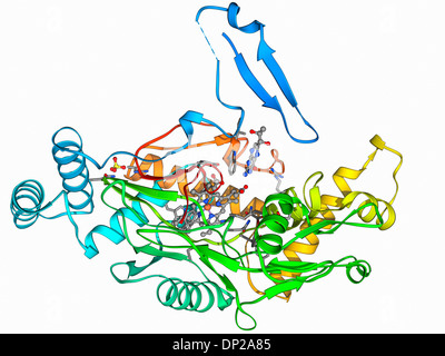 Stickoxid-Synthase Molekül Stockfoto