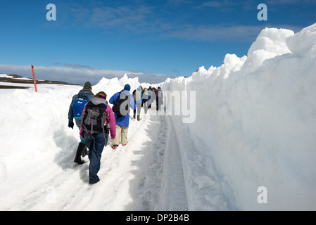 Antarktis - eine Reihe von Touristen zu Fuß durch entlang einer behelfsmäßigen Fahrbahn durch den tiefen Schnee in Richtung Landebahn gepflügt im Base Presidente Eduardo Frei Montalva auf King George Island in der Antarktis. Stockfoto