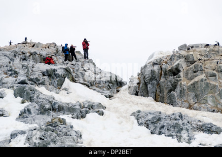 Antarktis - Fotografen mit Teleobjektiven gegen Verschachtelung auf Felsen krähenscharben auf zwei hummock Insel auf der Antarktischen Halbinsel. Stockfoto