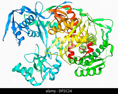 Argonaut-Protein-Molekül Stockfoto