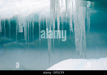 Antarktis - lange Eiszapfen hängen von der Kante eines Eisbergs in Cierva Cove in der Antarktis. Stockfoto