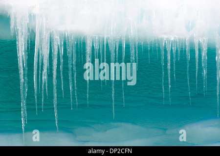 Antarktis - lange Eiszapfen hängen von der Kante eines Eisbergs in Cierva Cove in der Antarktis. Stockfoto