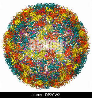 Fuß - und - Klauenseuche-virus Stockfoto